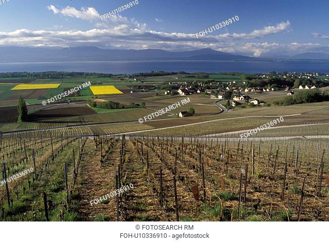 Switzerland, Vaud, La Cote, Fechy, Lake Geneva, Europe, Scenic view of the countryside covered with vineyards and the village of Fechy in the spring along Lac...