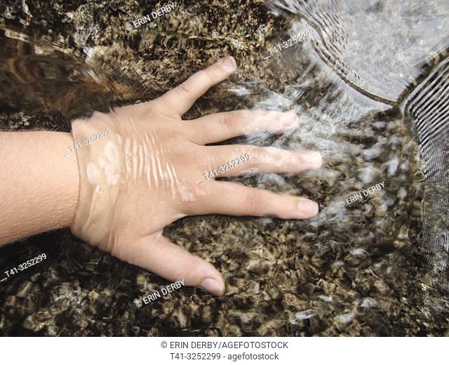 A young child's hand in a river of rushing water, California