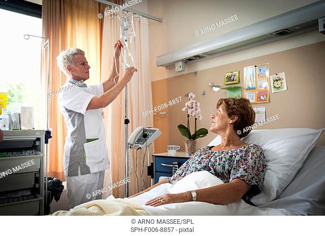 MODEL RELEASED. Nurse preparing an IV drip for a patient