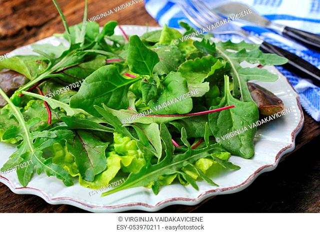 Mix fresh leaves of New Zealand spinach, arugula, lettuce, , beets for salad on a dark wooden background. Top view