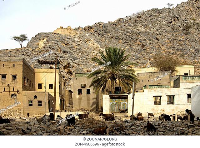 Wohnhäuser einer Siedlung in kahlen Felsen, Ain a’Thawwarah, Sultanat Oman / Residential houses of a settlement in barren rocks, Ain a’Thawwarah