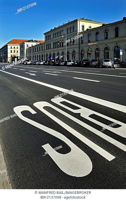 Bus lane marking on Ludwigstrasse, Munich, Bavaria, Germany, Europe