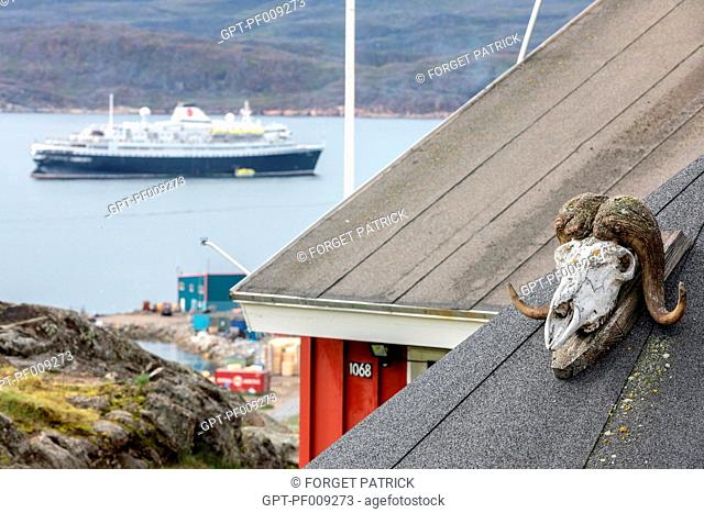MUSKOX SKULL ON A BRIDGE AND THE CRUISE BOAT ASTORIA IN THE BACKGROUND, TOWN OF QAQORTOQ, GREENLAND, DENMARK
