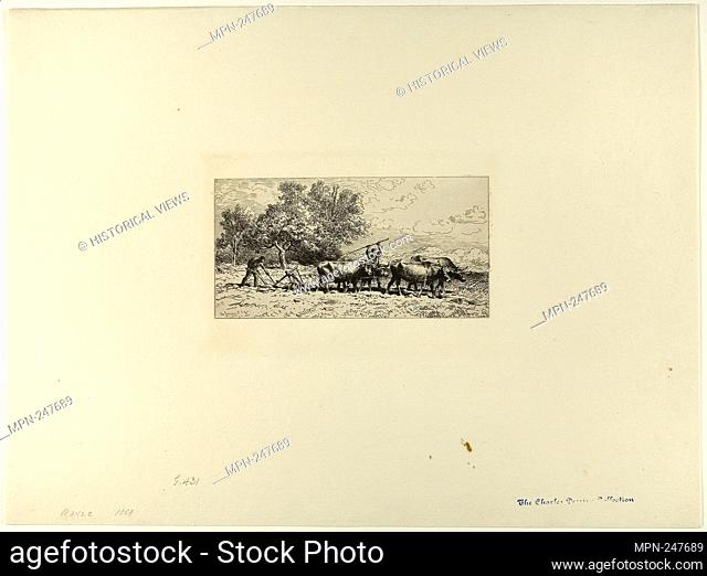 Team of Oxen - 1868 - Charles Émile Jacque French, 1813-1894 - Artist: Charles Émile Jacque, Origin: France, Date: 1868, Medium: Etching on ivory laid paper