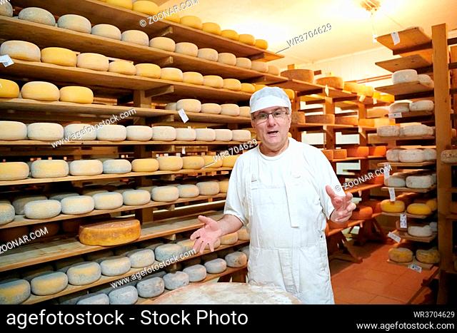 Cheese maker at the storage with shelves full of cow and goat cheese wheels during the aging process in local food production factory