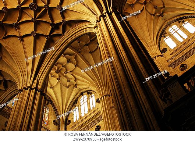 Interior of Cathedral of Santa Maria with rib vaults and triforium, Salamanca, Castilla y Leon, Spain