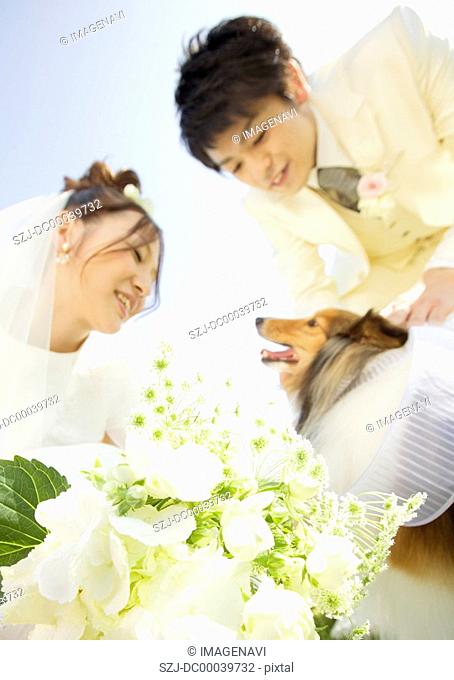 Dog and bridal couple