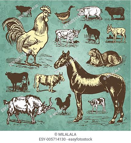 Farm animals vintage set (vector)