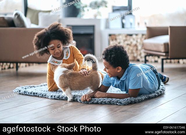 Pet. Two curly-haired kids playing with the puppy