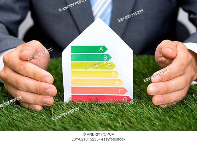 Businessman Protecting Energy Consumption Label On Grass