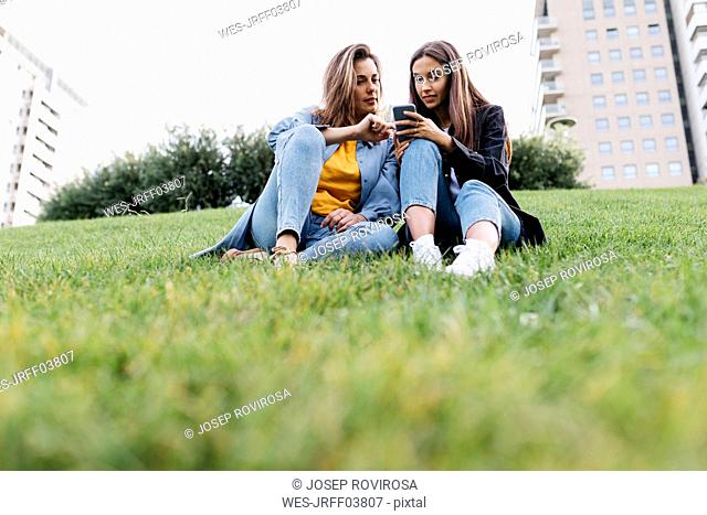 Two friends looking on the smartphone, sitting on a meadow of a park