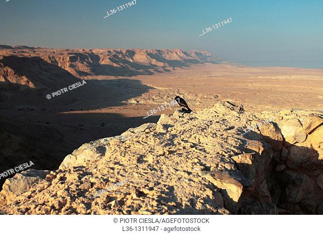 Israel  Masada fortress on the edge of the Judean Desert  A view towrd the north and the Dead Sea
