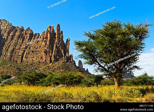 Zerklüftete Felsnadeln im Gheralta Bergmassiv, bei Hawzien, Tigray, Äthiopien / Jagged rocks of the Gheralta Mountain range, near Hazwien, Tigray, Ethiopia