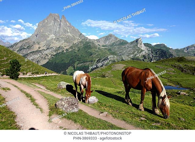 France, Nouvelle Aquitaine, Pyrenees Atlantiques (64), Bearn, Ossau valley (municipality of Laruns), pic du Midi d'Ossau (national park of Pyrenees) and Ayous...