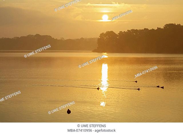 Sunrise over the pheasant island in the Great Eutin lake