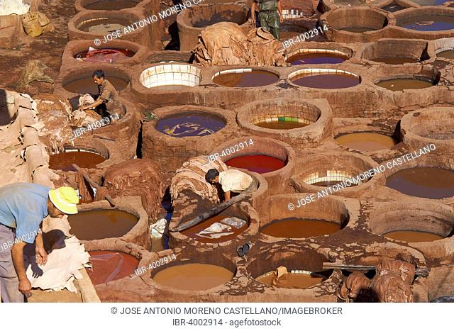 Traditional tannery with dying vats, The Chouwara, Chouara, Old Town, Medina, Fez, Fes, Fez el Bali, Morocco