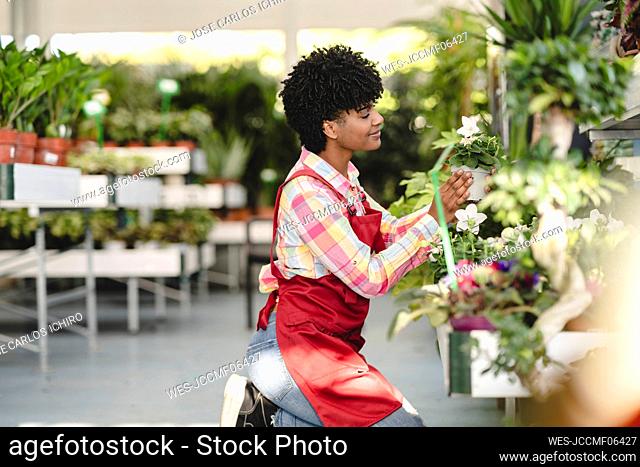 Smiling gardener holding plant kneeling at nursery