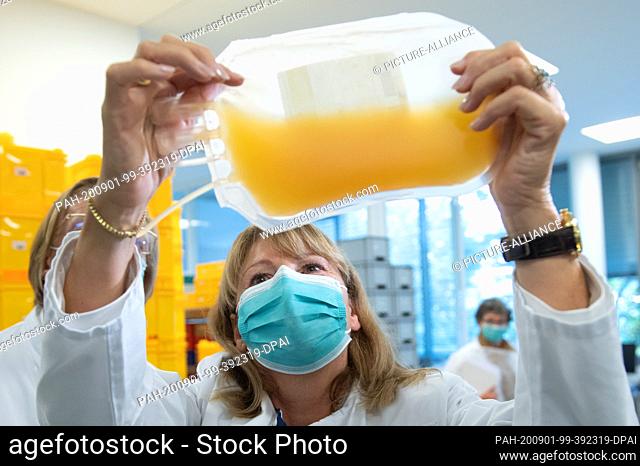 01 September 2020, Saxony, Dresden: Petra Köpping (SPD), Minister of Health of Saxony, holds a bag of blood platelets during her visit to the blood processing...