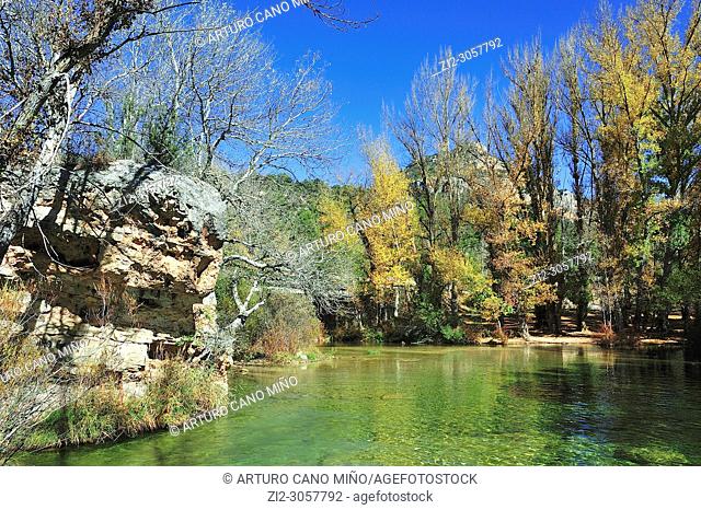 Colorful poplars in autumn at the bank of river Tagus. The Alto Tajo Natural Park. Zaorejas town, Guadalajara province, Spain
