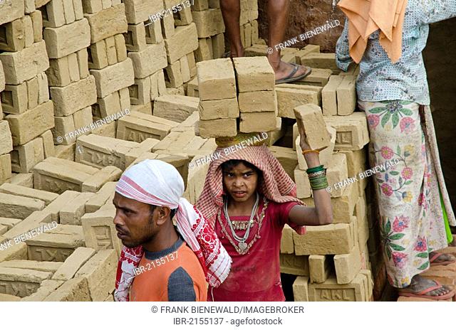 Brick factory where the heavy work is mainly done by children and women, Jorhat area, Assam, India, Asia