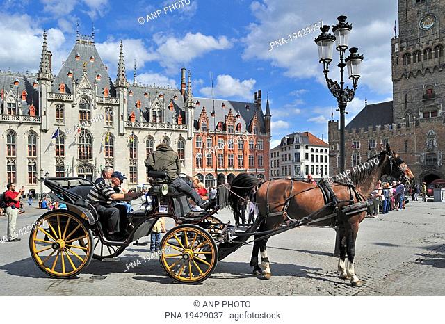 Horse Equus spp - Provinciaal Hof, Grote Markt, Brugge, Brugse Ommeland, Flanders, Belgium, Europe