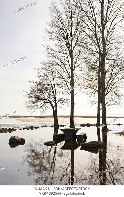 Flooded River Emajõgi and Trees Silhouettes in Rannu Jõesuu by Lake Võrtsjärv, Estonia