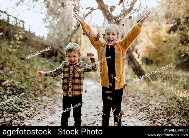Happy sibling playing with dry fallen leaf while standing in forest during autumn
