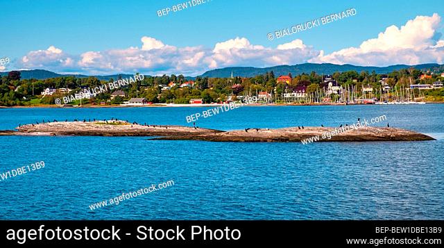 Oslo, Ostlandet / Norway - 2019/09/02: Panoramic view of Oslofjord harbor with Cormorant sea birds resting on a rock with Bigdoy Oslo district in background