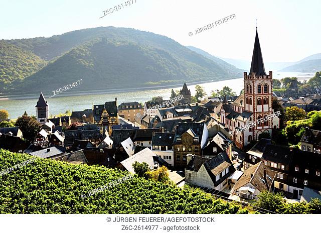 Town Bacharach in the Middle Rhine Valley and vine, Upper Middle Rhine Valley, Germany