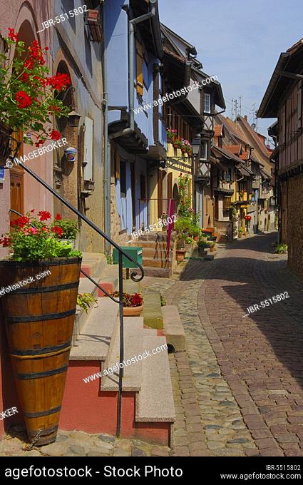 Eguisheim, Alsace, Wine Route, Alsace Wine Route, Haut-Rhin, France, Europe