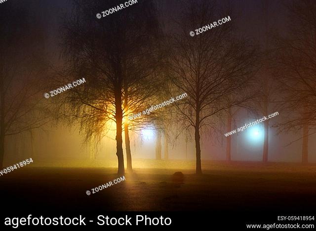 Foggy park at night with distant lamps