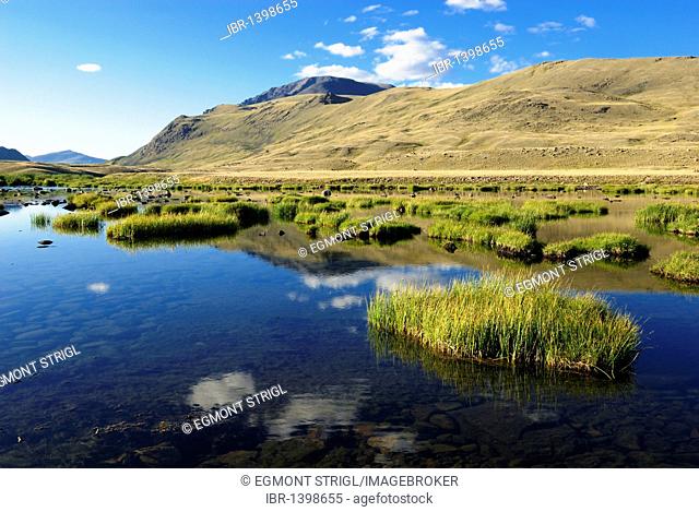 Dlinoe lake and valley, Chuya Steppe and Sailughem Mountains, Altai Republic, Siberia, Russia, Asia