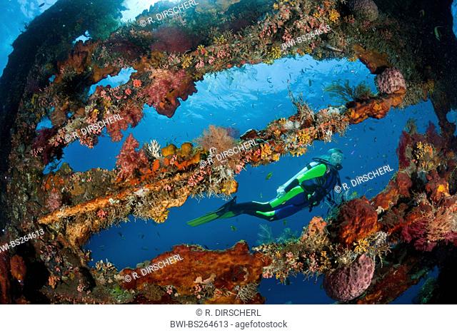 , Scuba Diver at Liberty Wreck, Indonesia, Bali, Tulamben