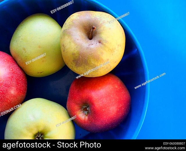 yellow and red apples (Malus domestica) fruit vegetarian food in a bowl over blue background
