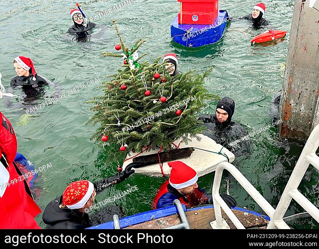 09 December 2023, Bavaria, Lindau (Bodensee): Swimmers gather around a floating Christmas tree. On the Saturday after St
