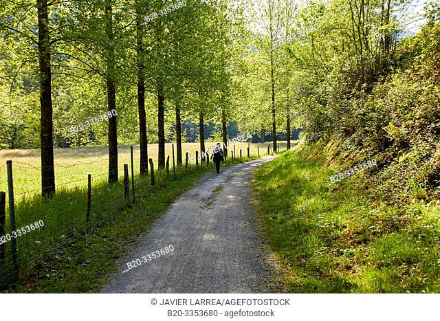Pedestrian and bicycle path that runs along the banks of the river, Bidasoa River, Gipuzkoa, Basque Country, SpainBidasoa River, Gipuzkoa, Basque Country, Spain