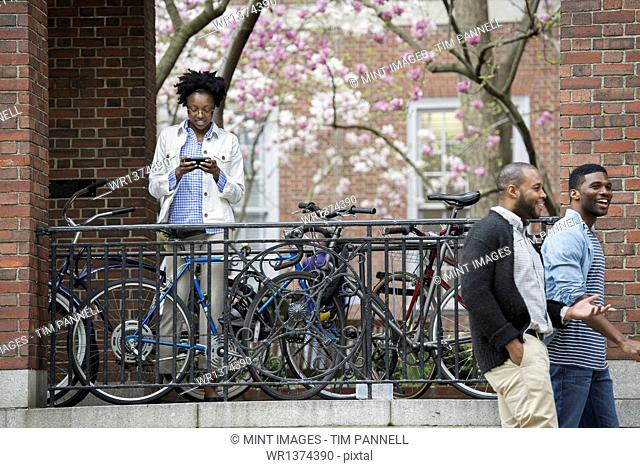 Outdoors in the city in spring. An urban lifestyle. A bicycle rack with locked bicycles, a woman texting and two men walking by