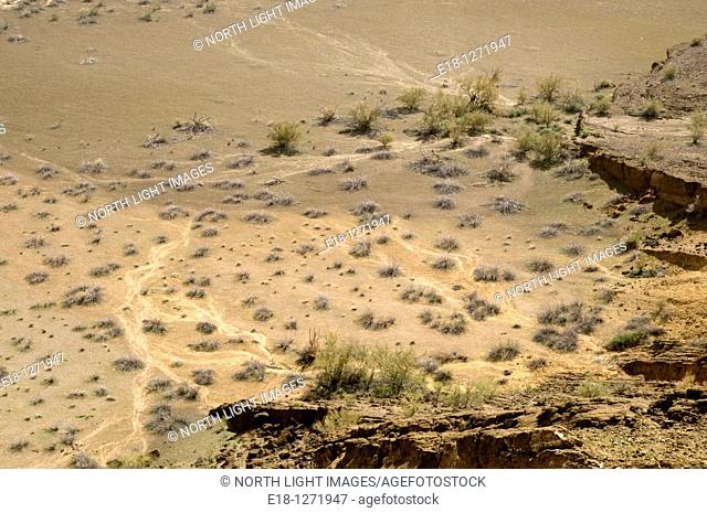 Mexico, Sonora, Rocky Point, Puerto Penasco. Pinacate Biosphere Reserve.  Traces of water paths at the bottom of the Cerro Colorado volcanic crater