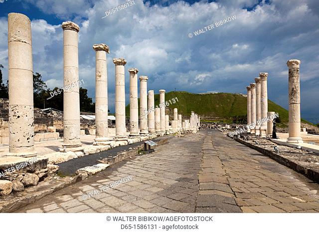Israel, The Galilee, Beit She-An, Beit She-An National Park, Roman-era ruins, Roman Street
