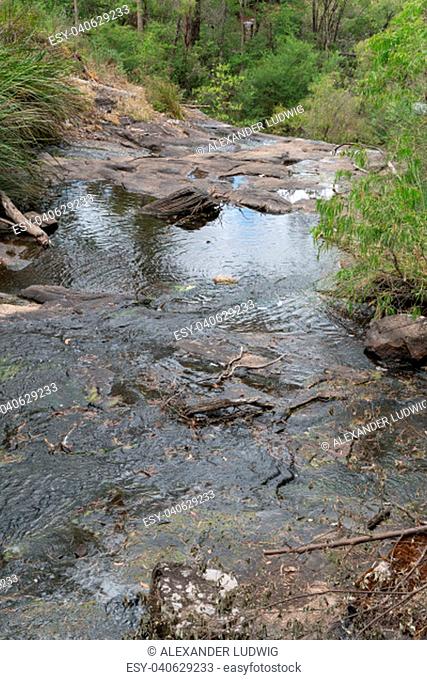 small creek in the beedelup national park, western australia