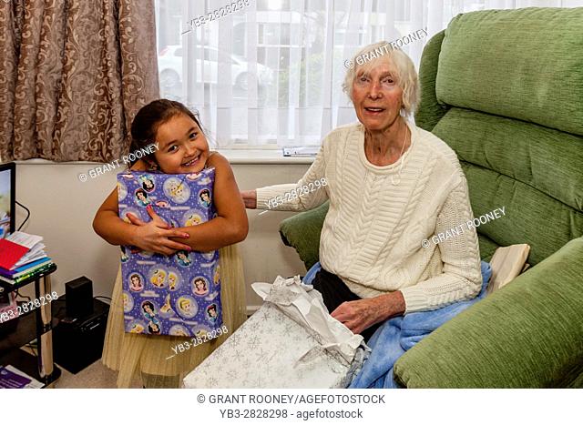 A Mixed Race Child and Her Grandmother Opening Presents On Christmas Day, Sussex, UK