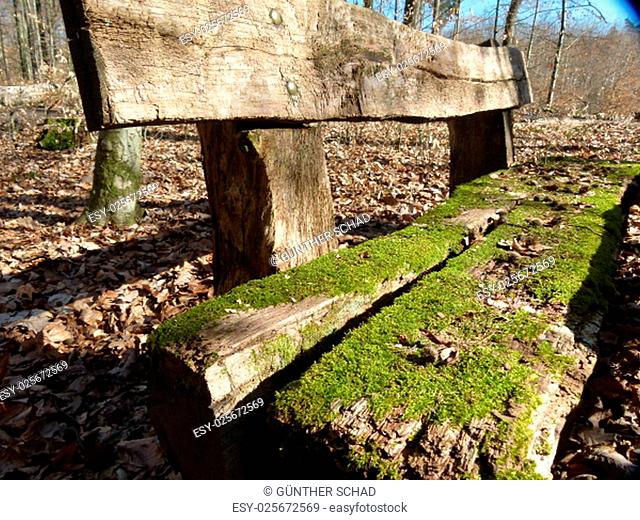 mossy bench