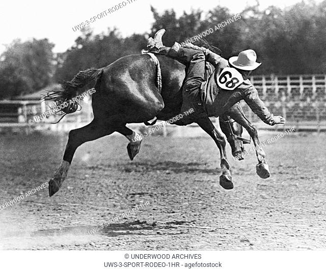 Pueblo, Colorado, 1934.Number 68 bites the dust in the bronco ride at the Colorado State Fair