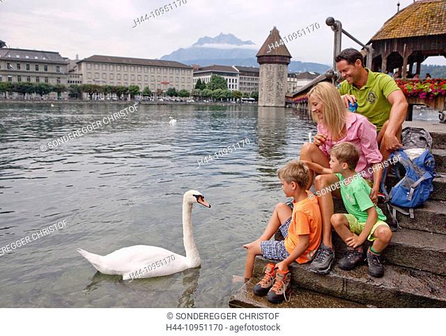 Switzerland, Europe, bridge, family, tourism, holidays, canton, LU, Lucerne, Reuss, central Switzerland, chapel bridge, swan