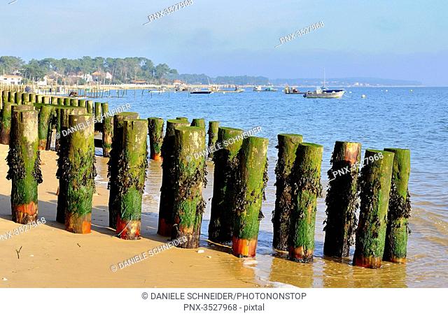 France, South-Western France, Arcachon Bay, protective breakwater against sea submersion