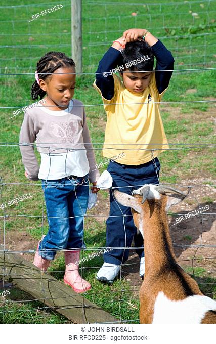 Children looking at a goat on a visit to a city farm