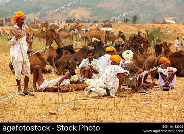 Pushkar, India-October 30, 2017: One of the biggest livestock market establishes in Puskar every year.It is also known as Pushkar Camel Fair or Pushkar Mela