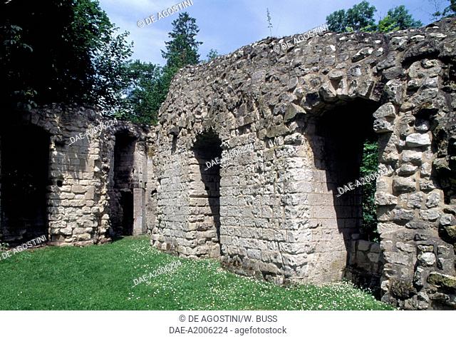 Ruined wall of Chateau de Lucheux, Picardy. France, 12th century