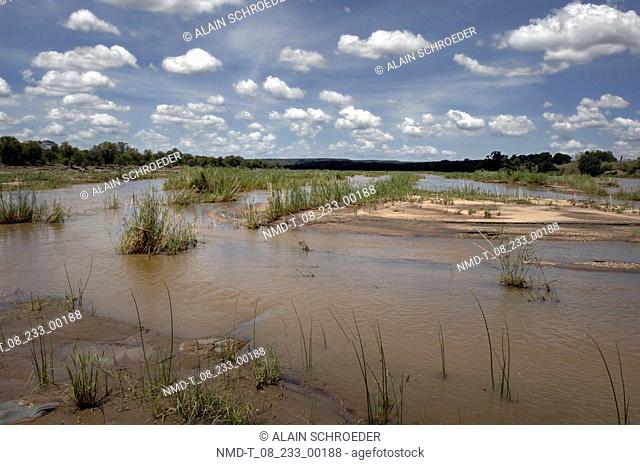 Panoramic view of a marsh area, Olifants River, Kruger Park, South Africa