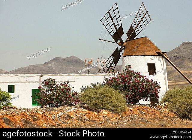Traditional windmill in Mill Museum, Centro de Interpretacion de los Molinos, Tiscamanita, Fuerteventura, Canary Islands, Spain, Europe